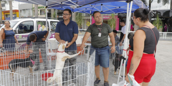 Feiras de adoção de pets de Barueri começam hoje, 1º, em Alphaville
