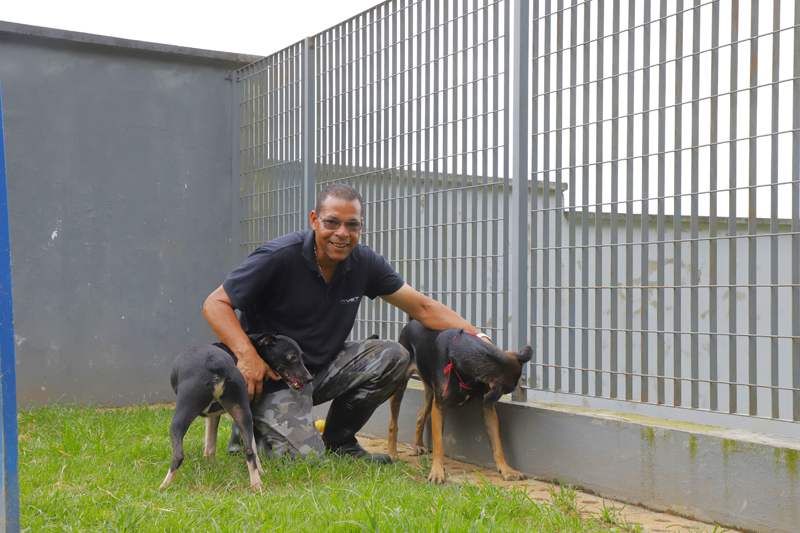 Alphaville recebe 6 feiras de adoção de pets em abril