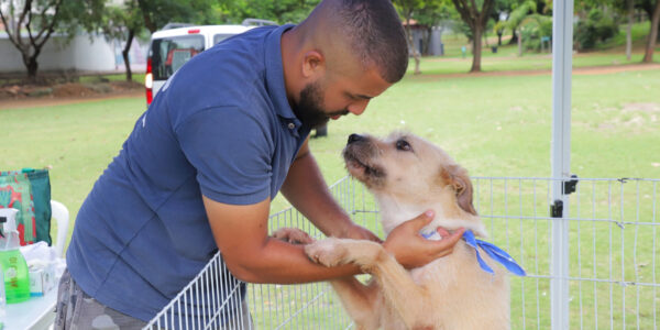 Barueri abre agendamento de castração de pets no dia 5