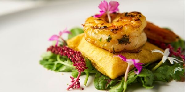 Taste São Paulo Festival vai de 24/5 a 9/6, no Parque Villa-Lobos