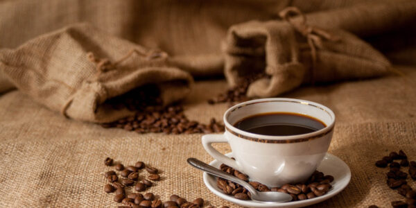 São Paulo Coffee Festival começa nesta sexta, 21, na Bienal