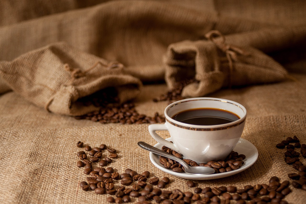 São Paulo Coffee Festival começa nesta sexta, 21, na Bienal