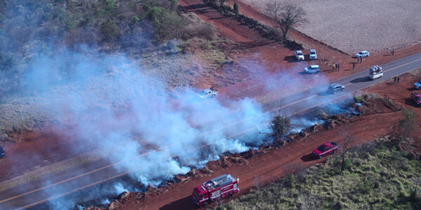 Drones e satélites ajudam a combater e prevenir incêndios em SP