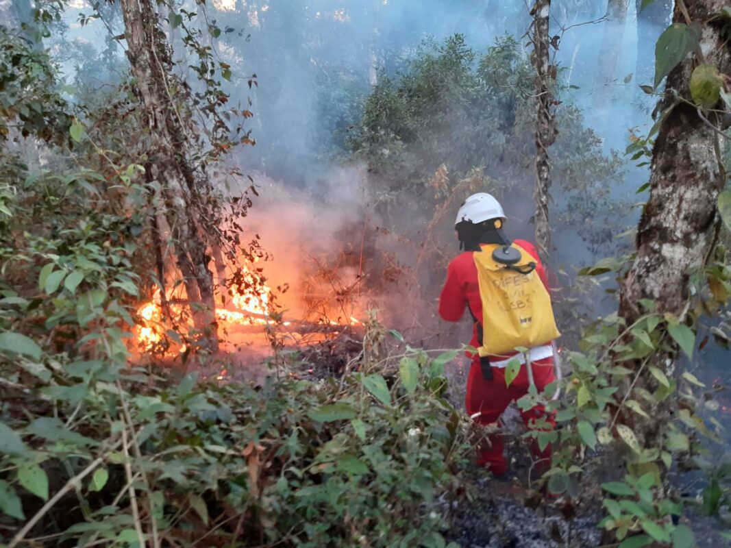 Queimadas: cuidados respiratórios precisam ser reforçados