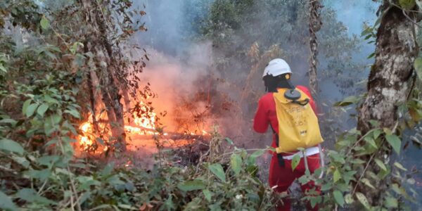 Queimadas: cuidados respiratórios precisam ser reforçados