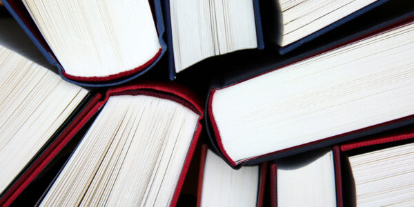 Bienal Internacional do Livro de São Paulo terá 13 espaços culturais