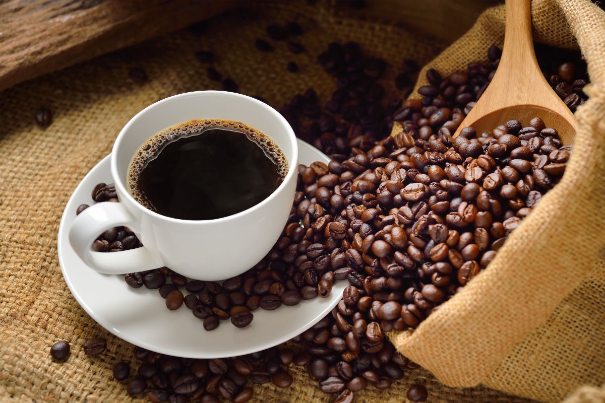São Paulo Coffee Festival acontece de 26 a 28 de junho