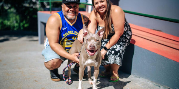 Saúde animal: Parnaíba oferta consultas gratuitas em clínicas credenciadas