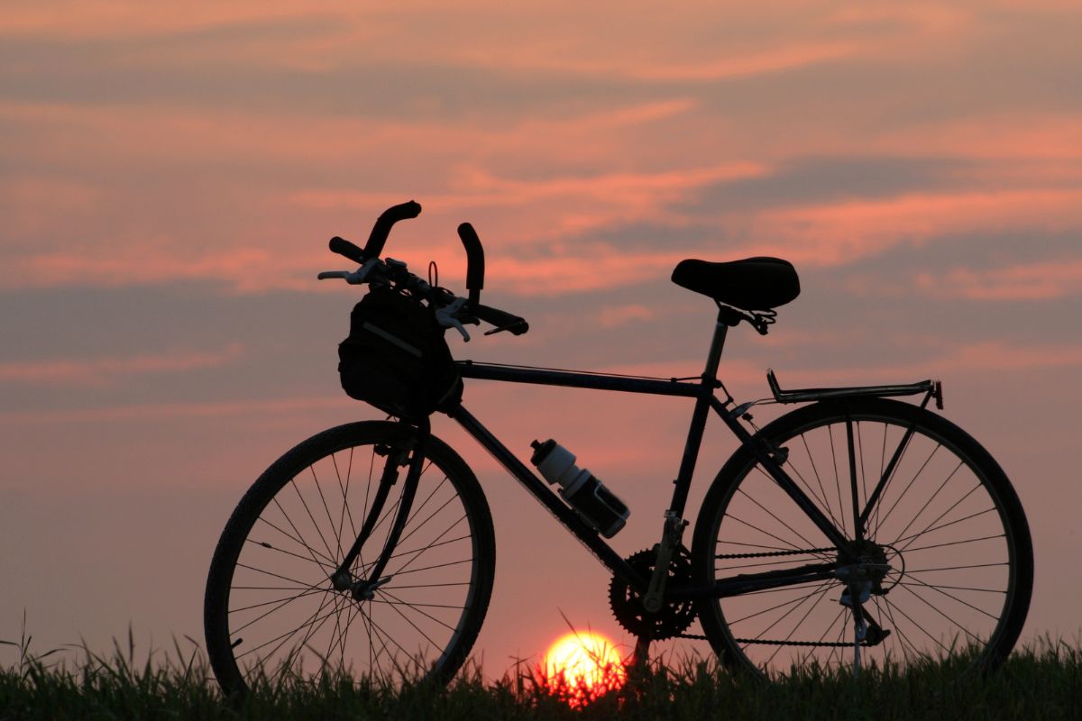 SP de bicicleta: 4 rotas de cicloturismo revelam paisagens, cultura e natureza