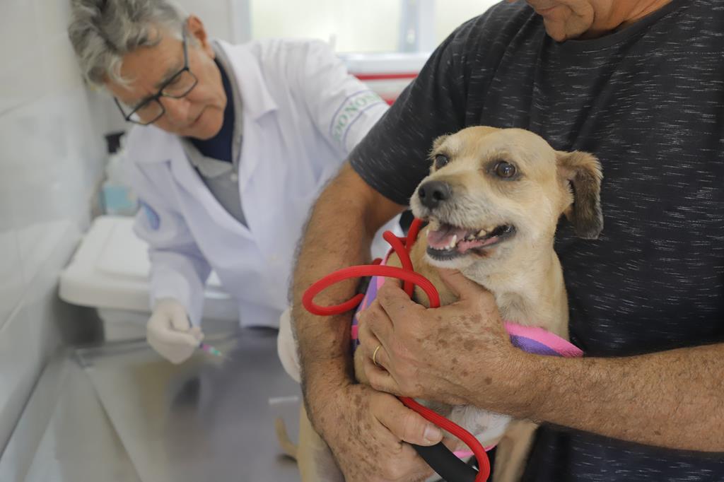 Julho Dourado reforça a importância da vacinação antirrábica